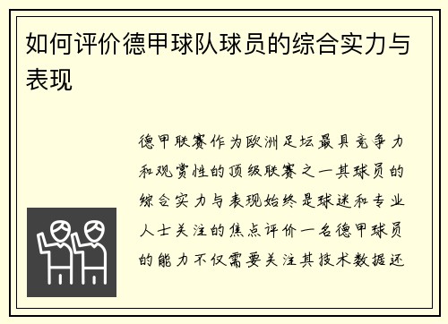 如何评价德甲球队球员的综合实力与表现